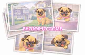  Upper Ure street, South Hill