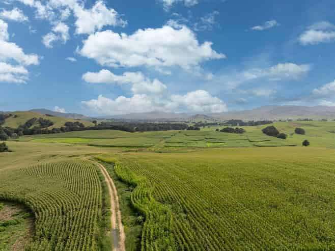 1179 Tahuna Road, Ohinewai