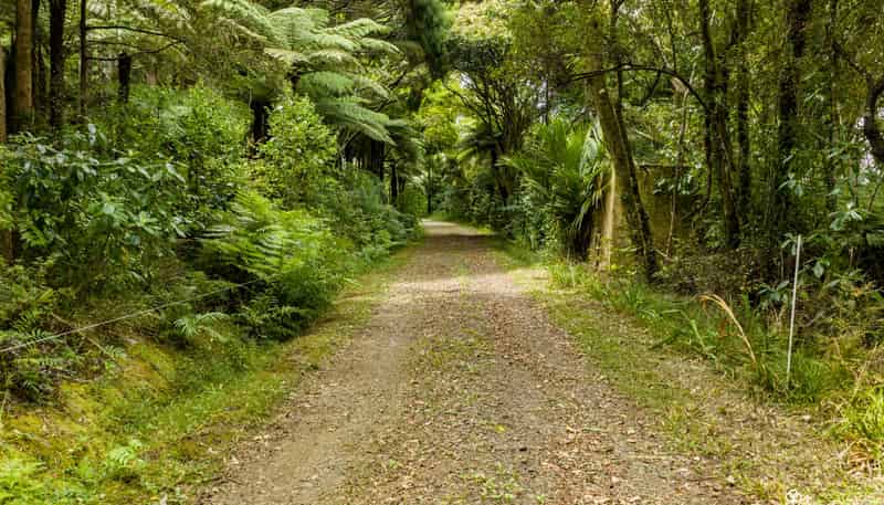 4317 State Highway 12, Dargaville