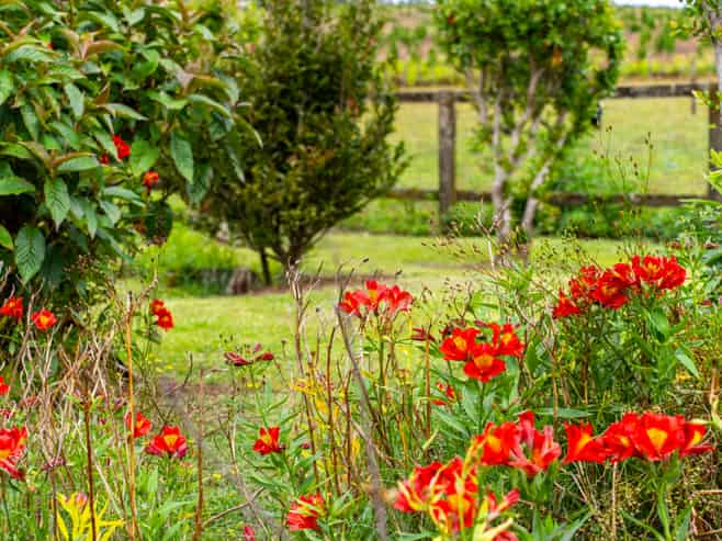 4317 State Highway 12, Dargaville