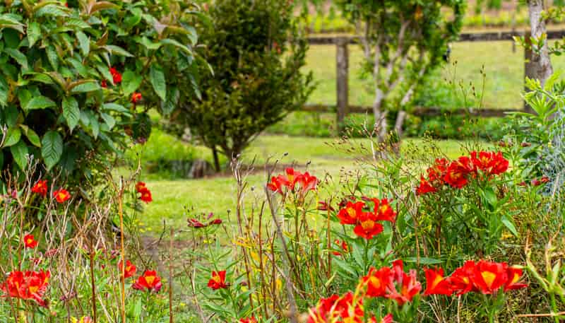 4317 State Highway 12, Dargaville