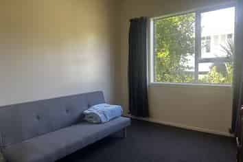 169a Hanson Street , Newtown