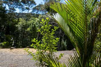  Te Akau Wharf Road, Te Akau