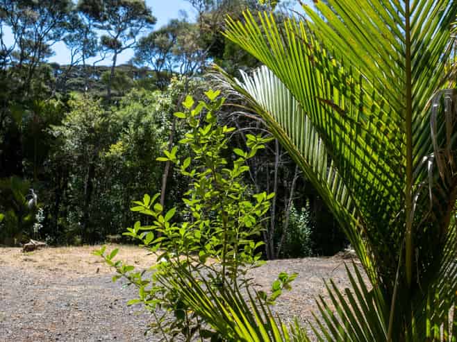  Te Akau Wharf Road, Te Akau