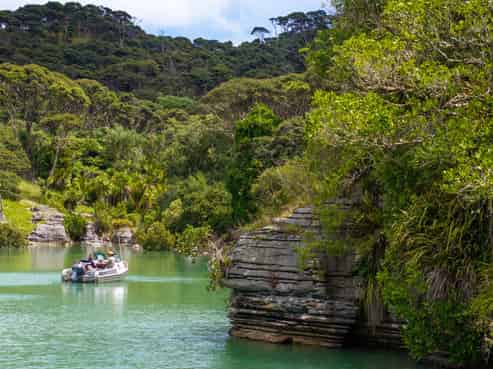505 Te Akau Wharf Road, Te Akau
