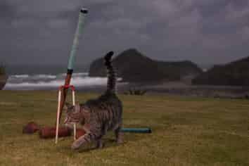 A/267 Bethells Road, Bethells Beach