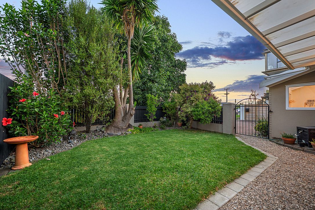 Single Level Central Takapuna Stunner! - Bild 3