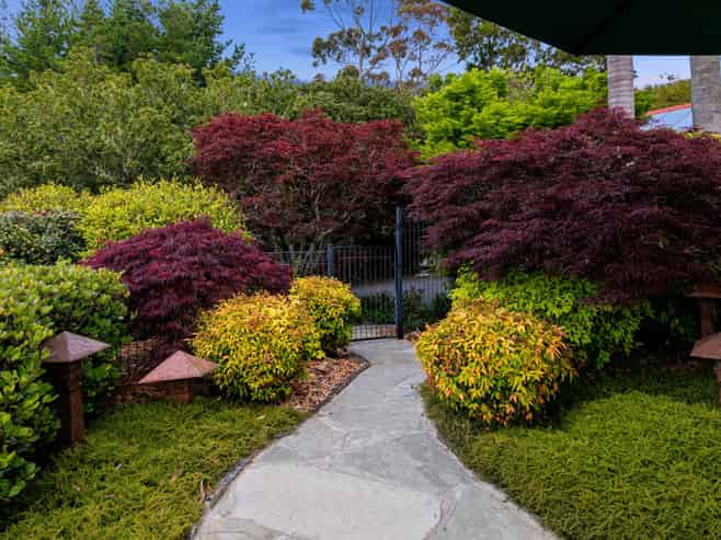 807 Dairy Flat Highway, Dairy Flat