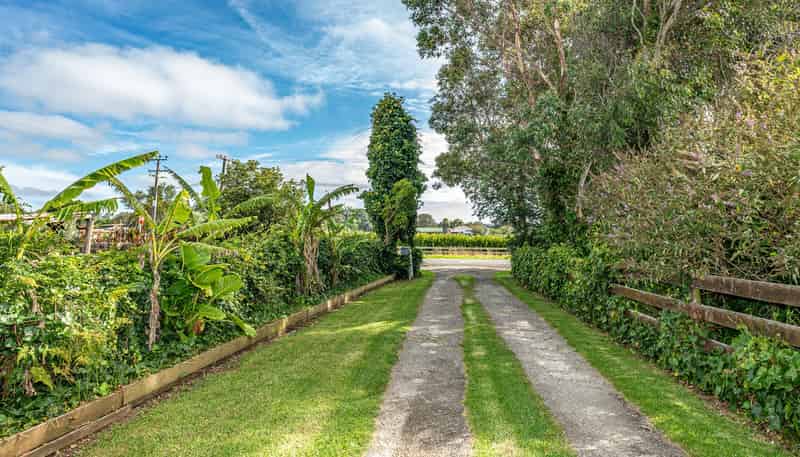 117 Fox Road, Springvale