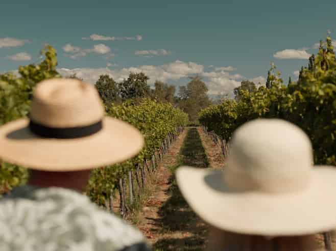 3 Holloway Street, Clyde