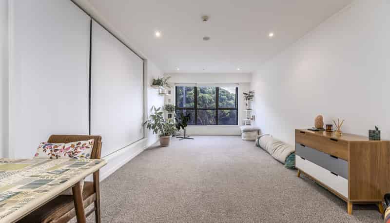 103/27 Union Street, Auckland Central