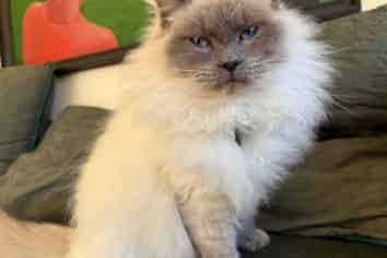 Waikato - Address withheld