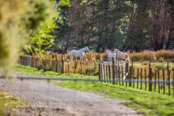 2/269 Grays Road, Pauatahanui