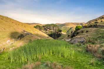 2/269 Grays Road, Pauatahanui