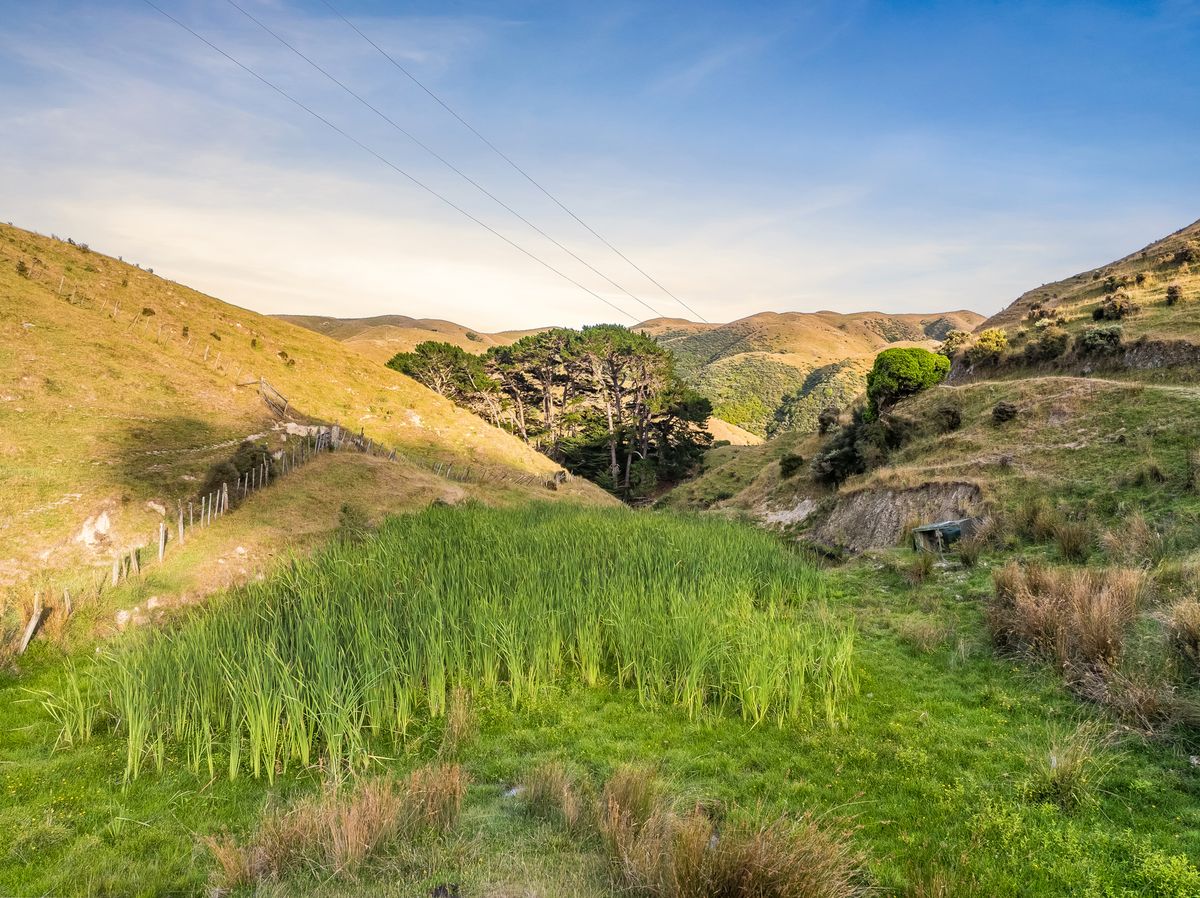 27 HECTARES – PAUATAHANUI INLET LOCATION - Ansicht 6
