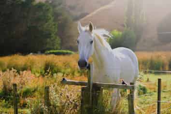 2/269 Grays Road, Pauatahanui