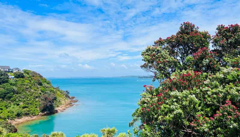 53 Kennedy Point Road, Surfdale