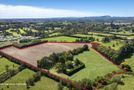 1622 Maraekakaho Road, Bridge Pa, Hastings, Hawkes Bay