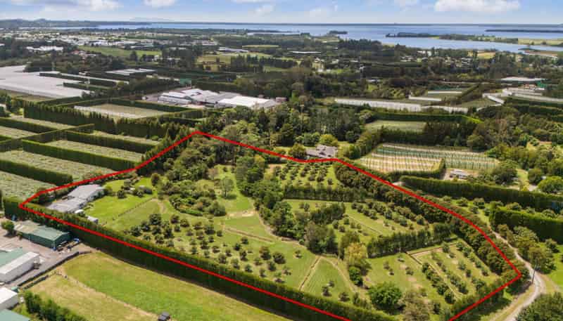 63A Rea Road, Katikati