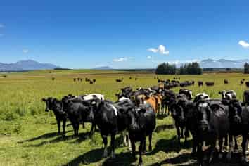 109 Affleck Road, Castle Downs