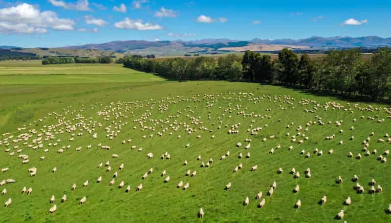 109 Affleck Road, Castle Downs