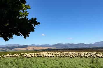 109 Affleck Road, Castle Downs