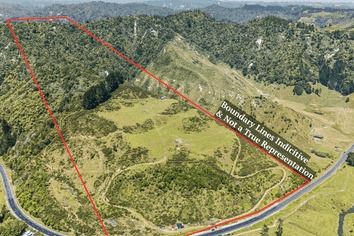 1134 Mokau Road , Mimi