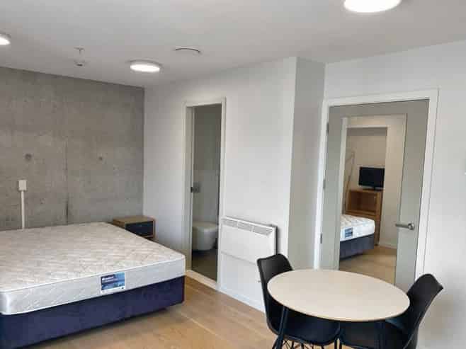 1204A/111 Dixon Street, Te Aro