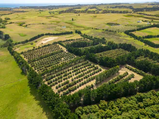 5126 State Highway One, Ngataki