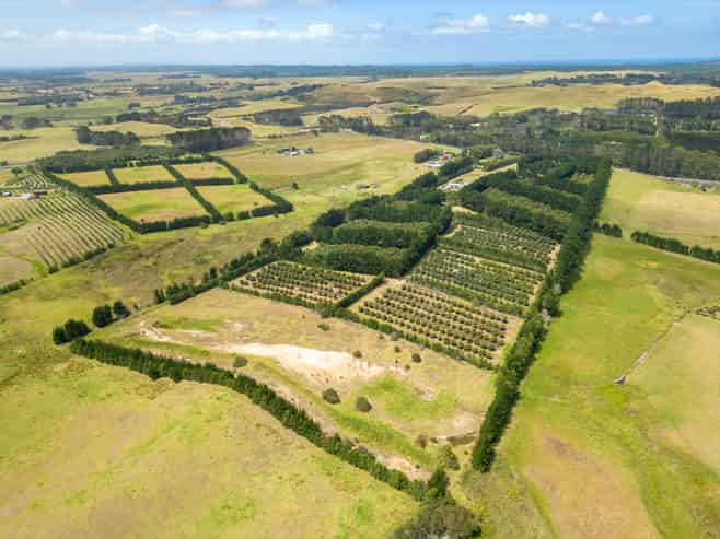 5126 State Highway One, Ngataki