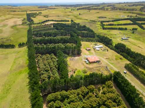 5126 State Highway One, Ngataki