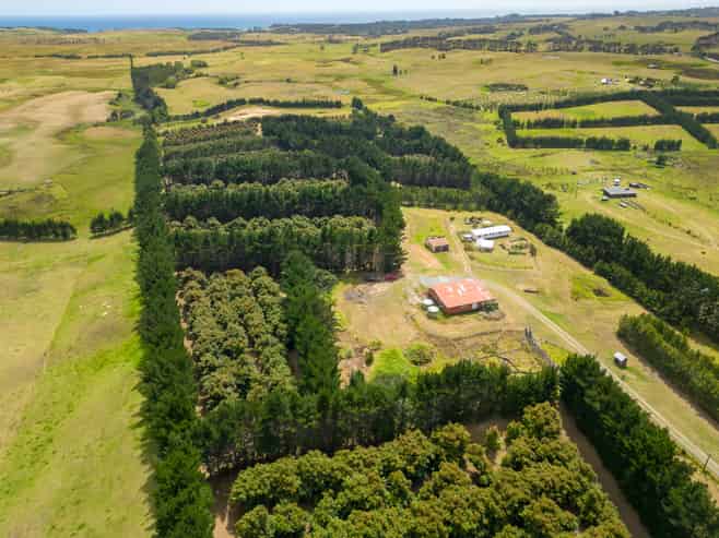 5126 State Highway One, Ngataki