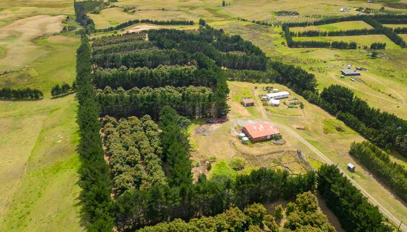 5126 State Highway One, Ngataki