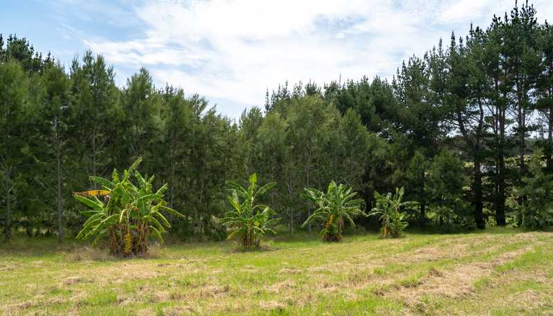 5126 State Highway One, Ngataki