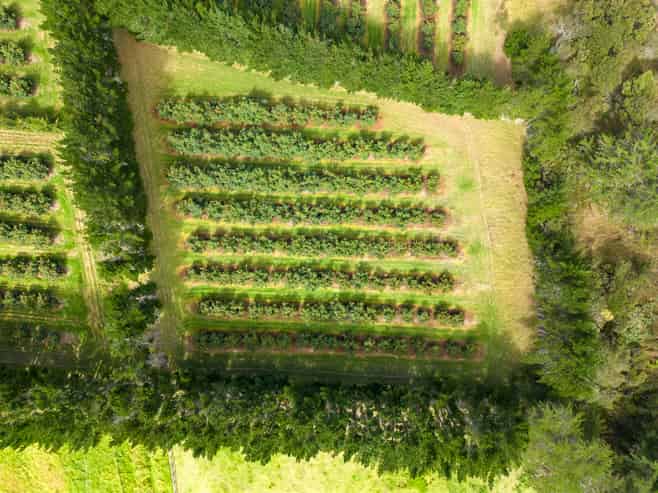 373 Kimberley Road, Ngataki