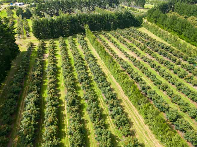 373 Kimberley Road, Ngataki