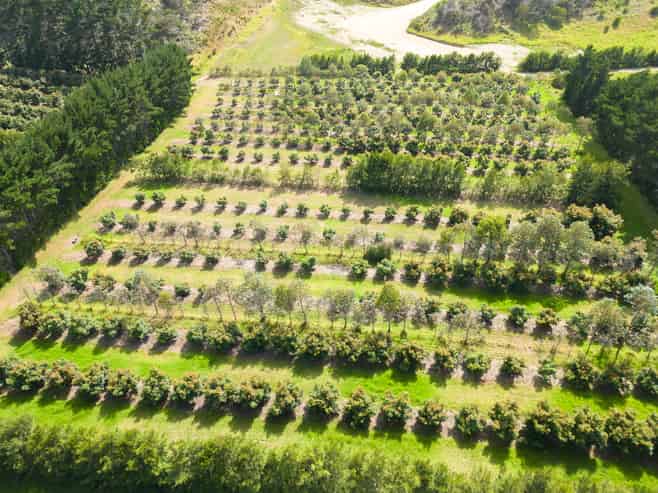 373 Kimberley Road, Ngataki