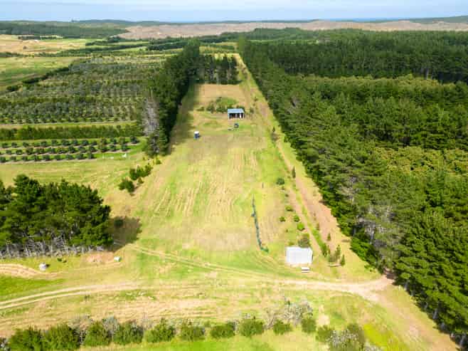 373 Kimberley Road, Ngataki