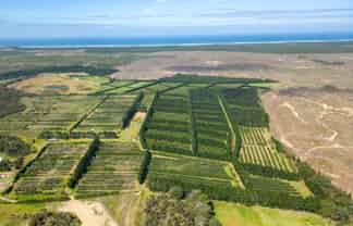 373 Kimberley Road, Ngataki