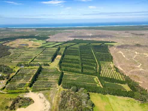 373 Kimberley Road, Ngataki