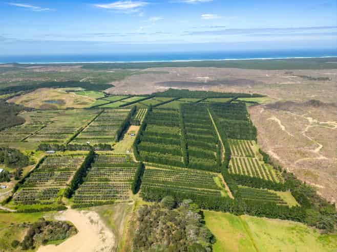 373 Kimberley Road, Ngataki