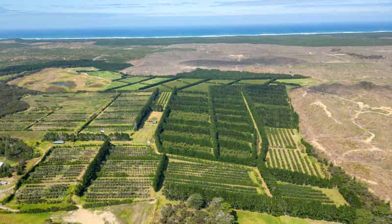 373 Kimberley Road, Ngataki