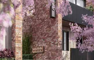 11/6 St Albans Avenue, Mount Eden