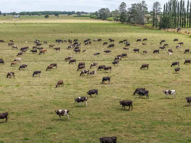 133 Hopai East Road, Pipiroa