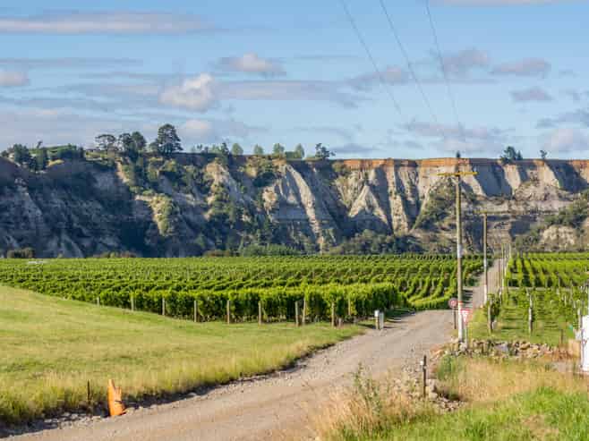 1905 Matapiro Road, Crownthorpe