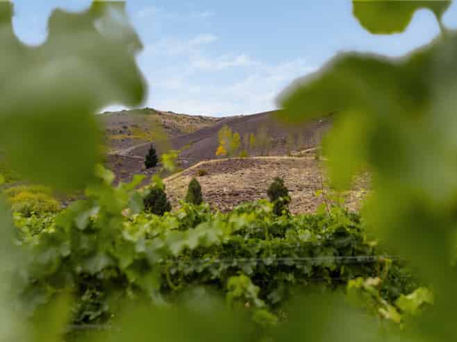  Cairnmuir Road, Cromwell