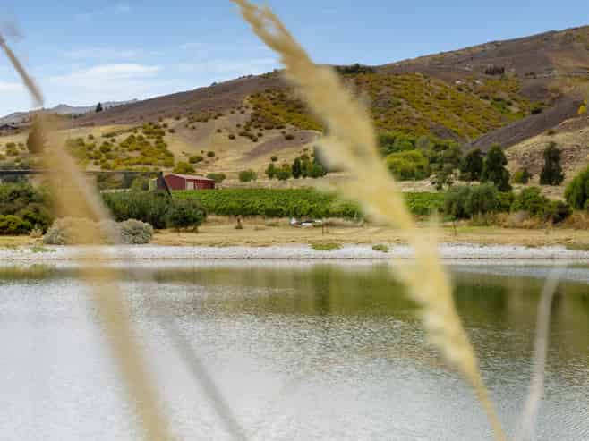  Cairnmuir Road, Cromwell