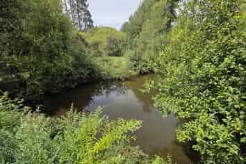 Bay of Plenty - Address withheld