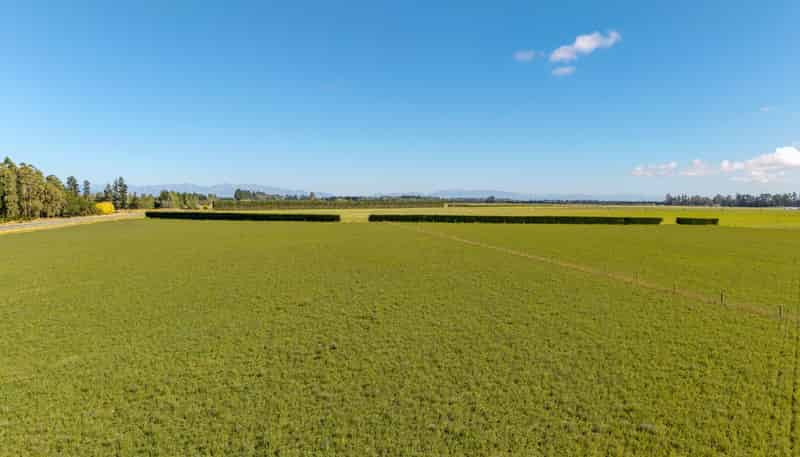 638 Telegraph Road, Charing Cross