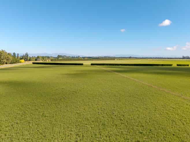 638 Telegraph Road, Charing Cross